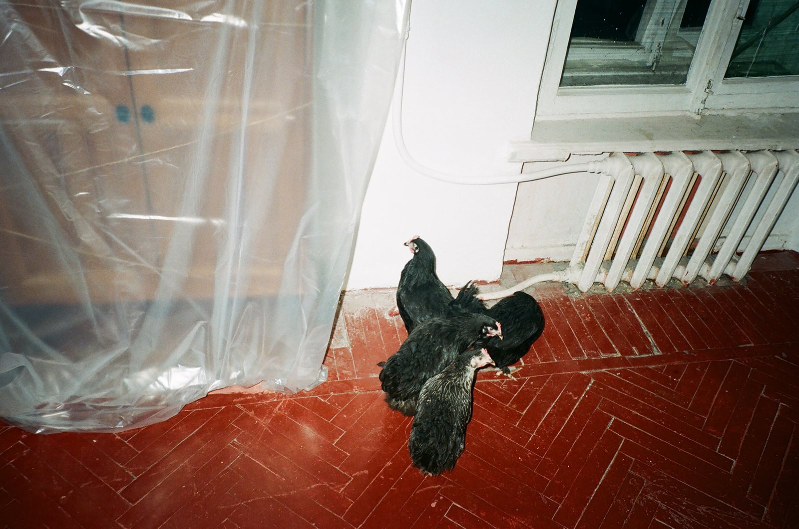 article image; primary-color: #8B796D;