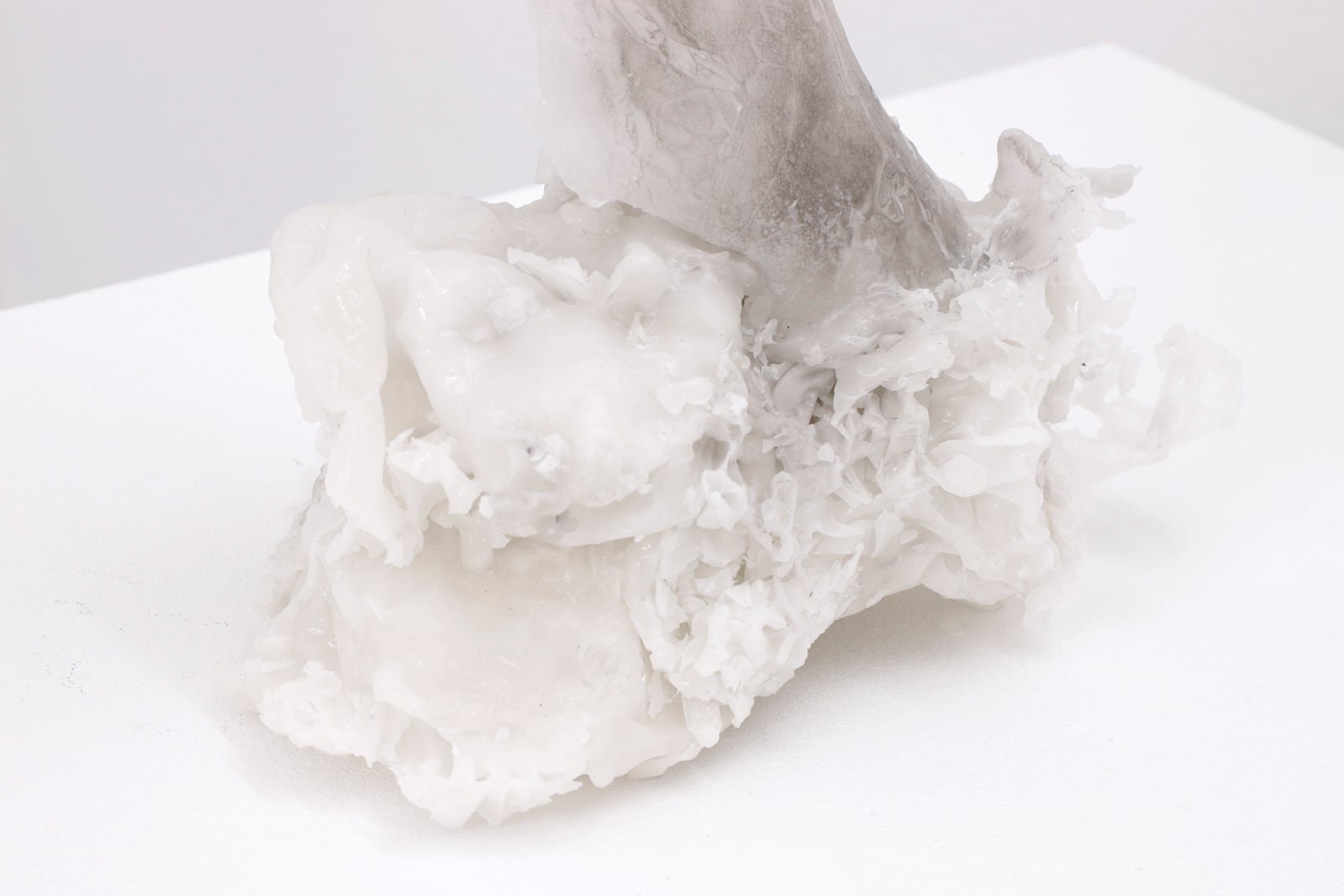 article image; primary-color: #E5E1E2;