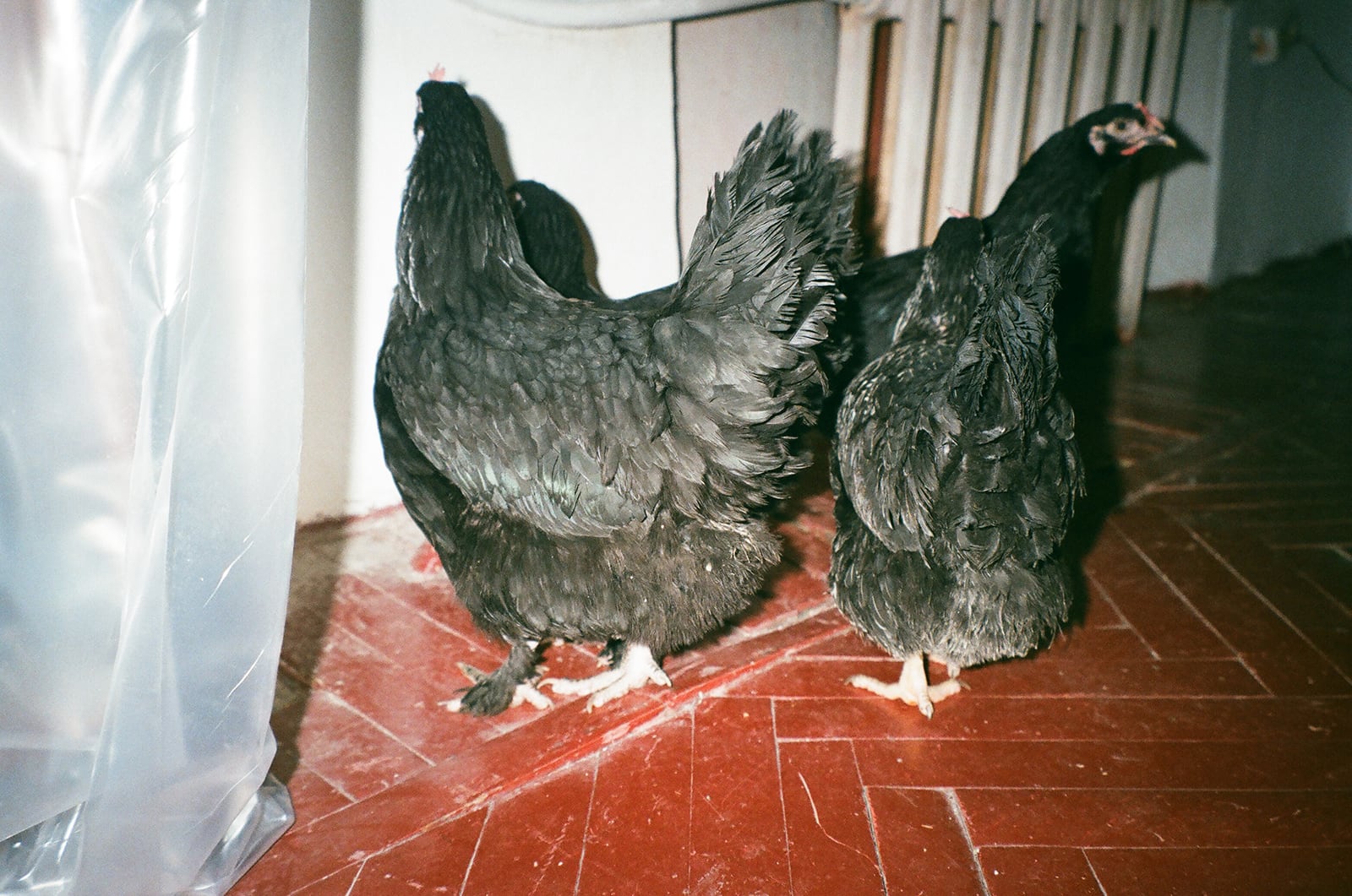 article image; primary-color: #8A7E70;