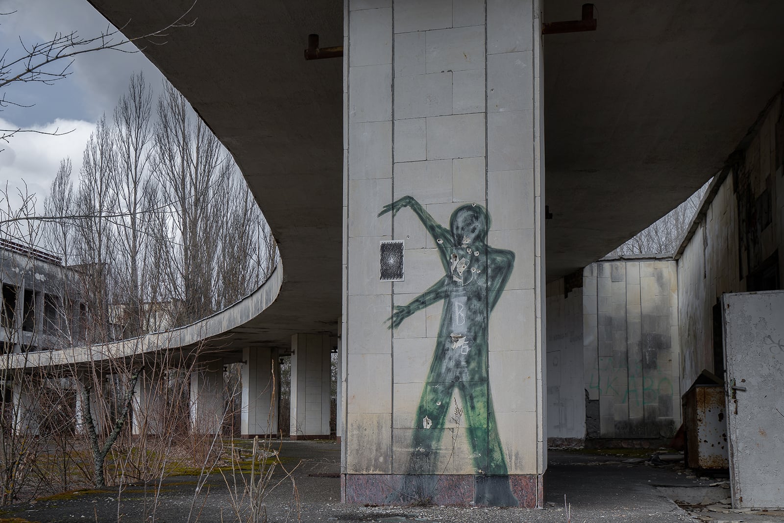 article image; primary-color: #565656;