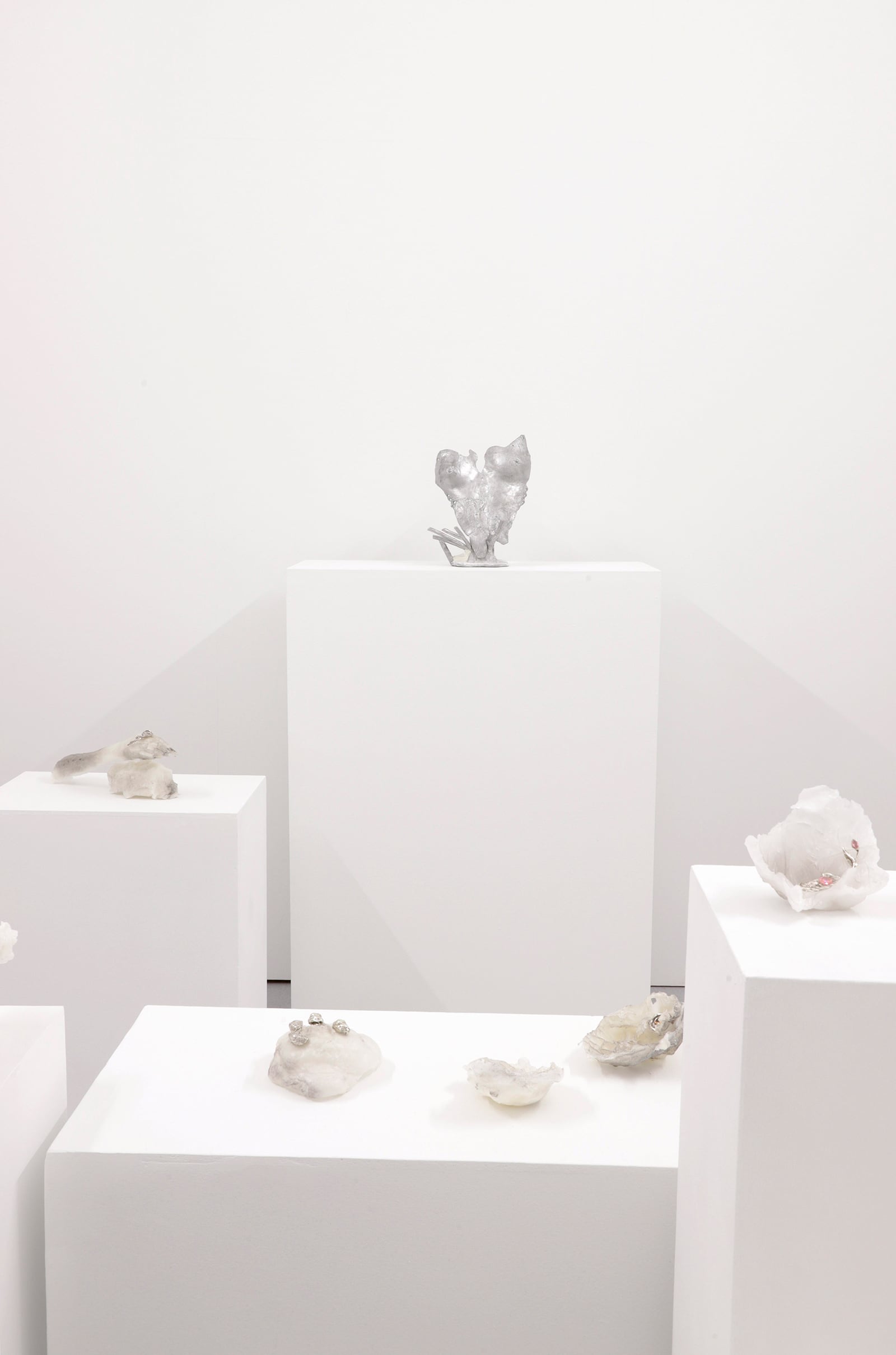 article image; primary-color: #E8E4E1;