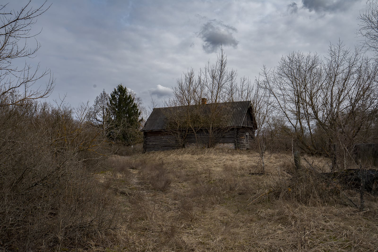 article image; primary-color: #676360;