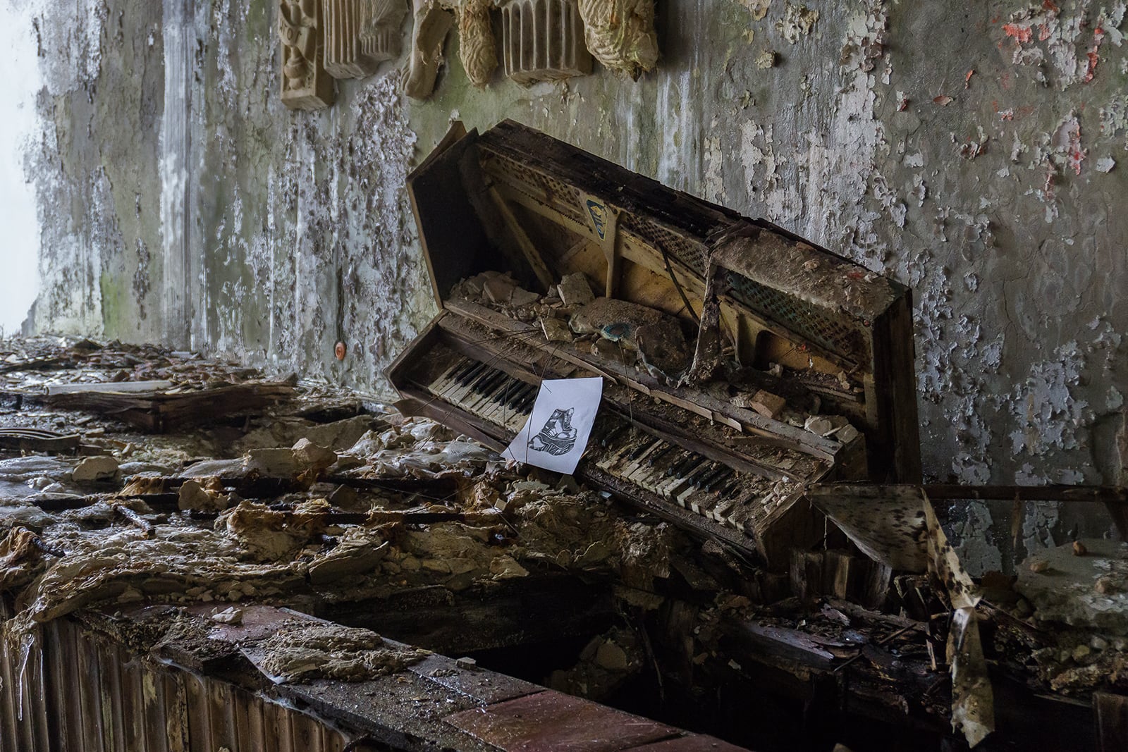 article image; primary-color: #4D4A43;