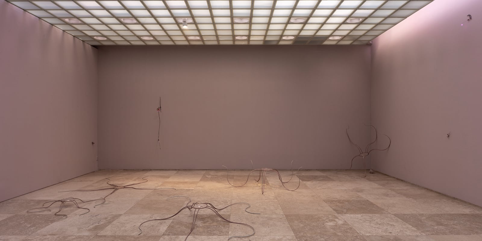 article image; primary-color: #8F746B;