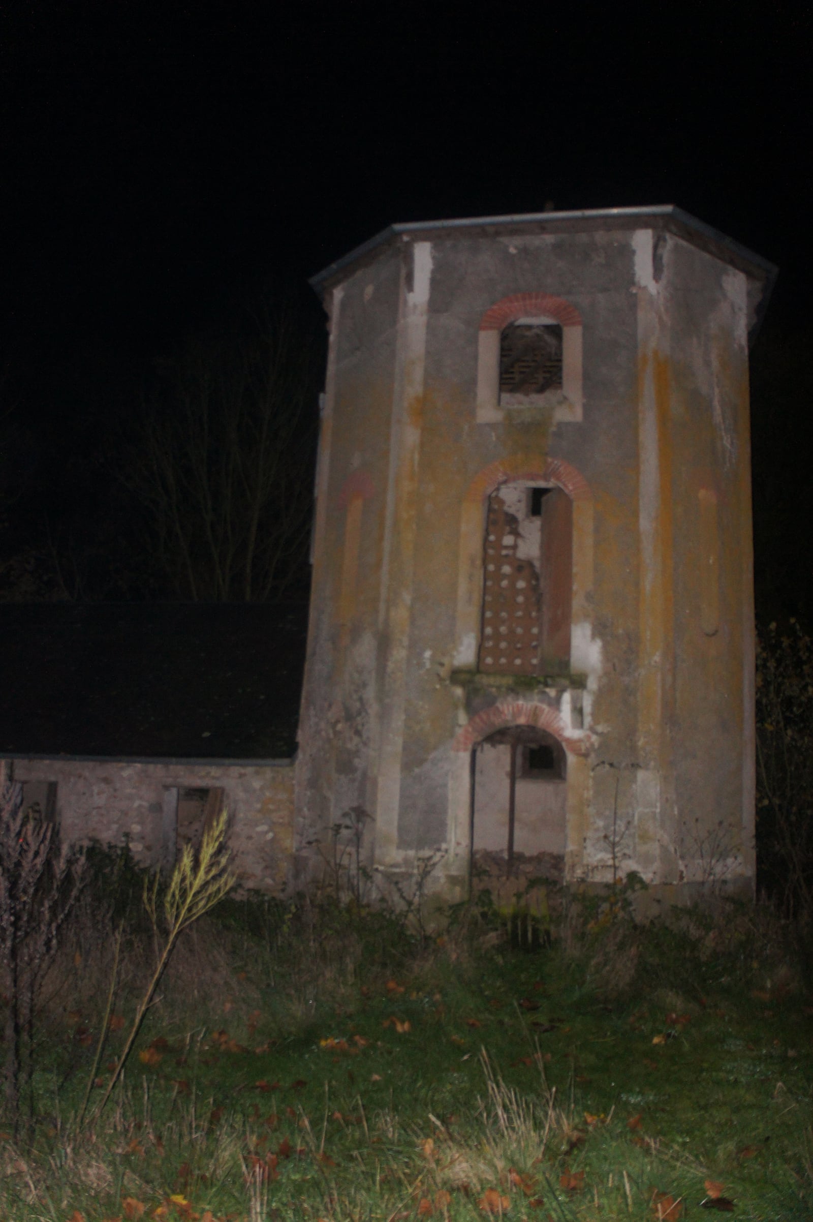 article image; primary-color: #322B23;