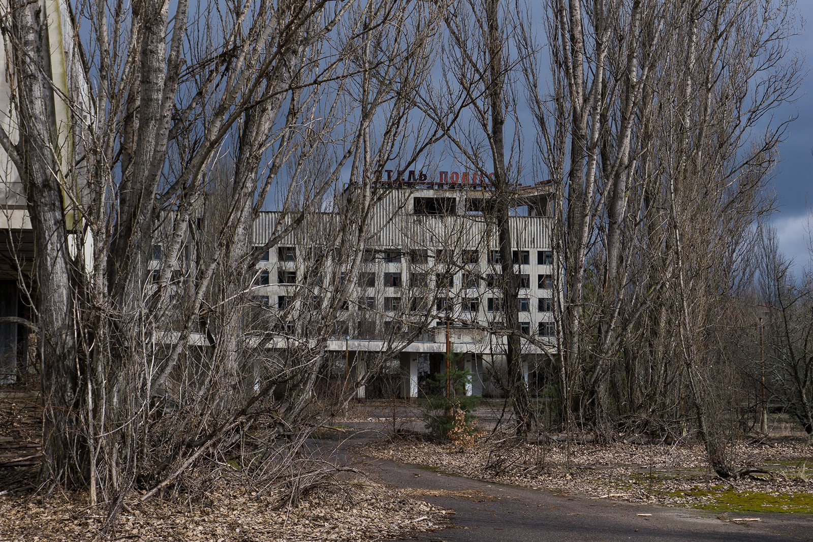 article image; primary-color: #524E4B;