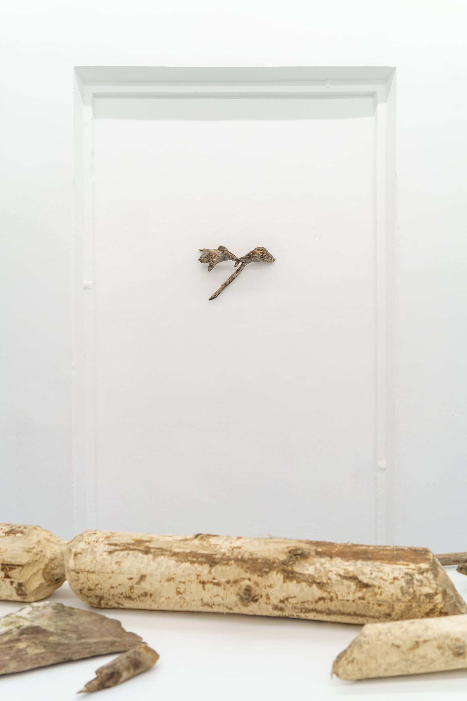 article image; primary-color: #E1DAD2;