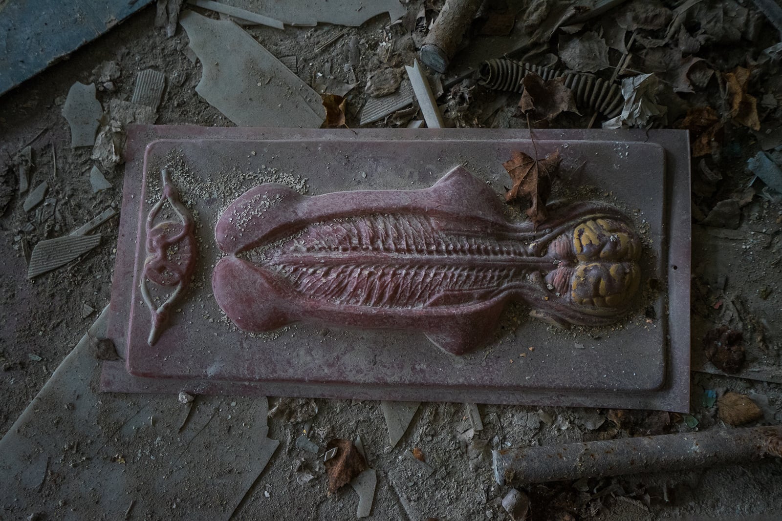 article image; primary-color: #3D3936;