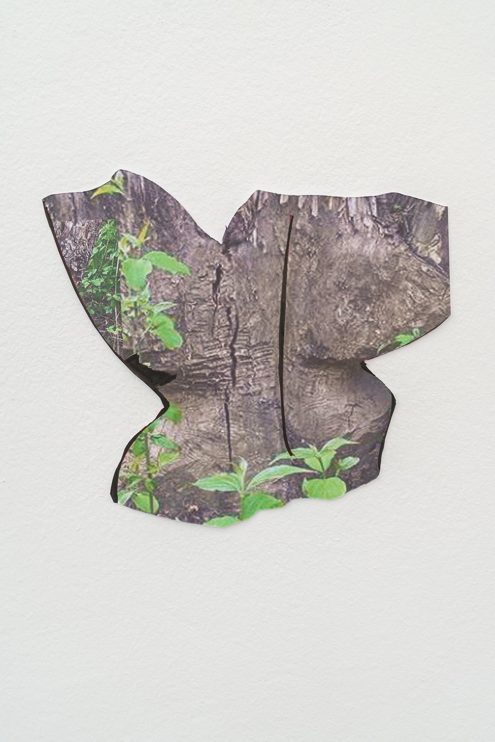 article image; primary-color: #CECAC7;