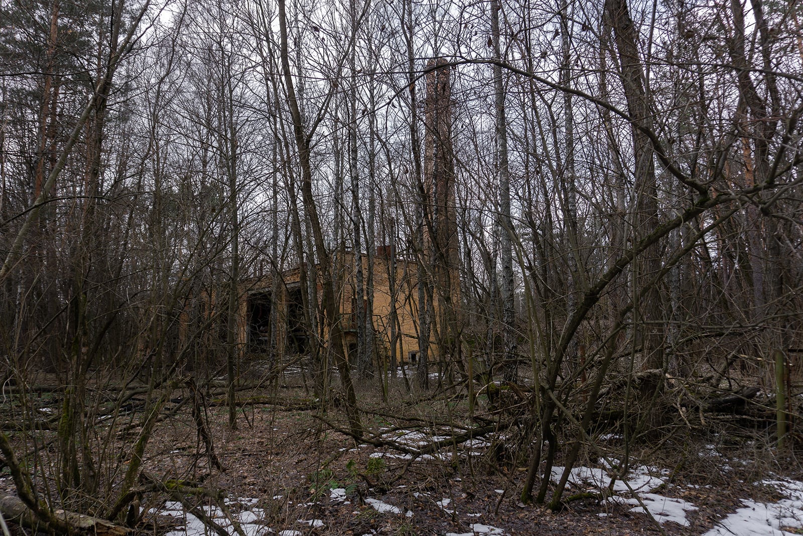 article image; primary-color: #504846;