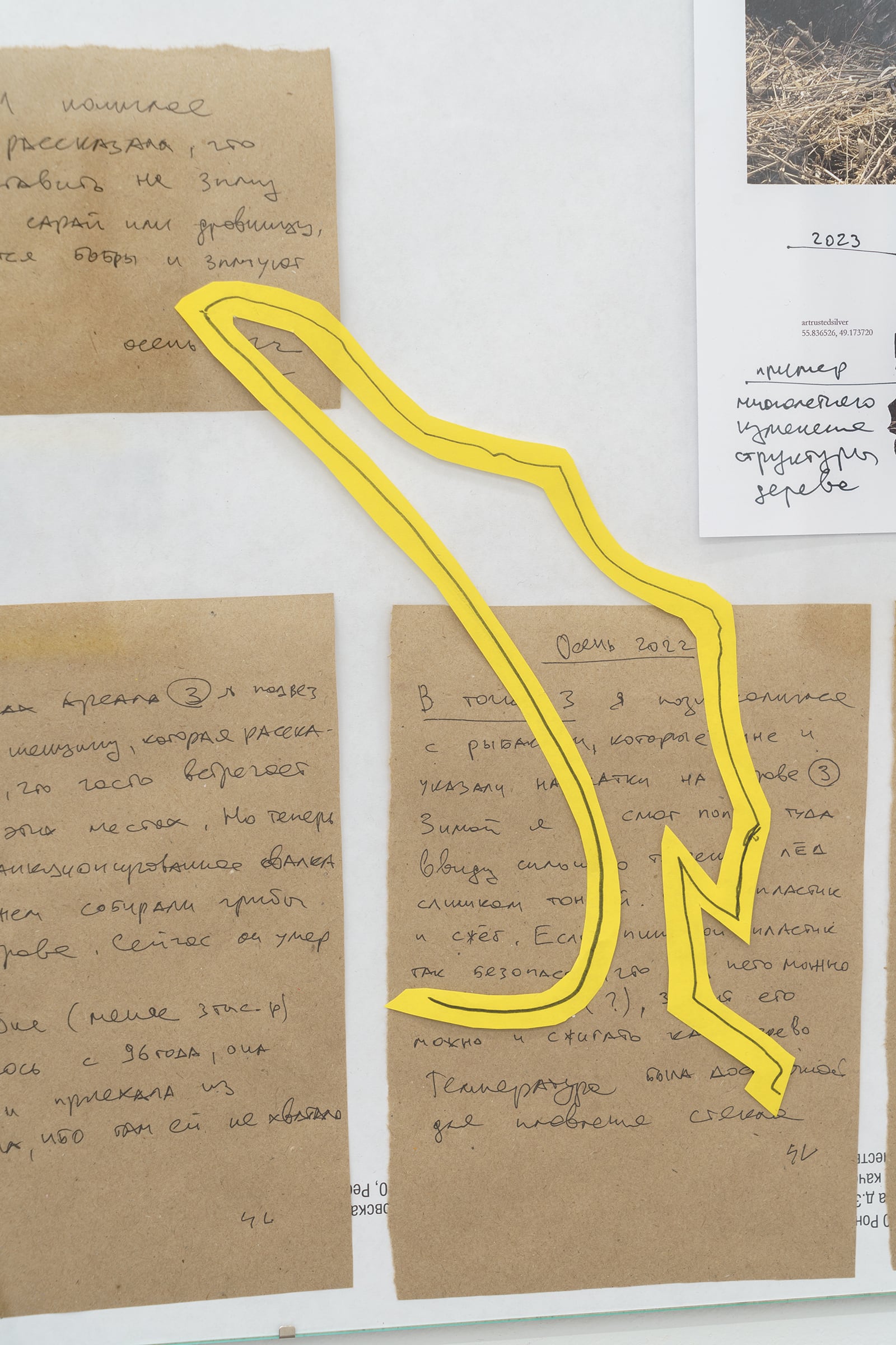 article image; primary-color: #C4B69B;