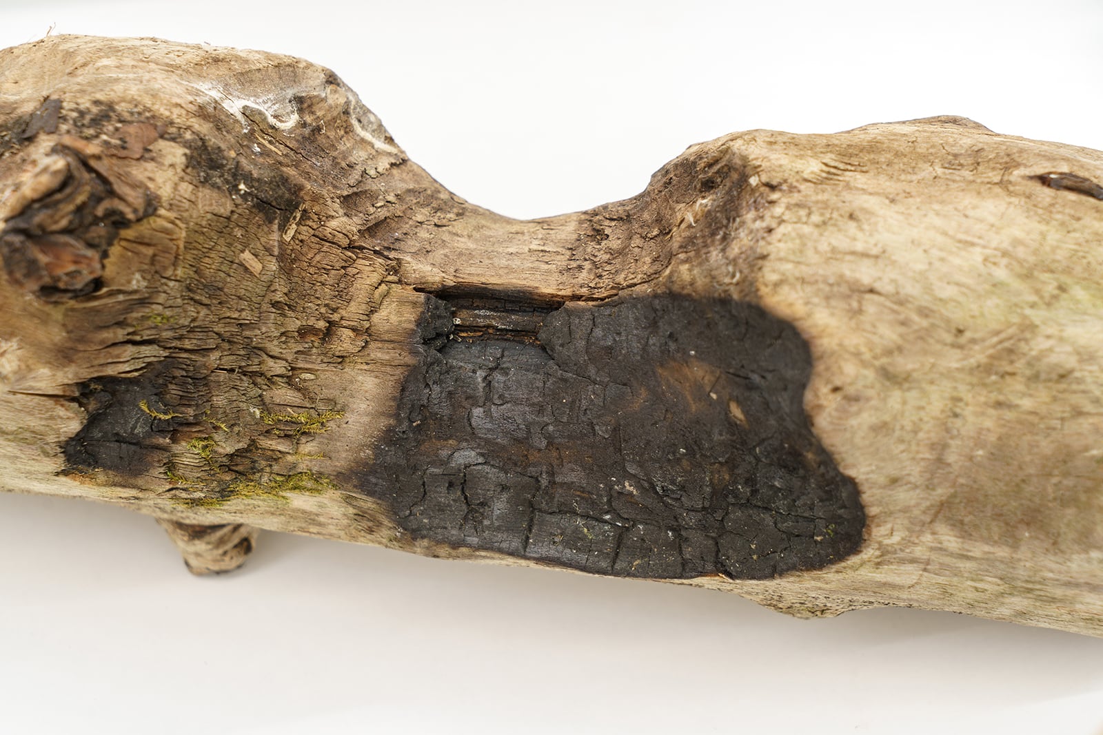 article image; primary-color: #B4A592;