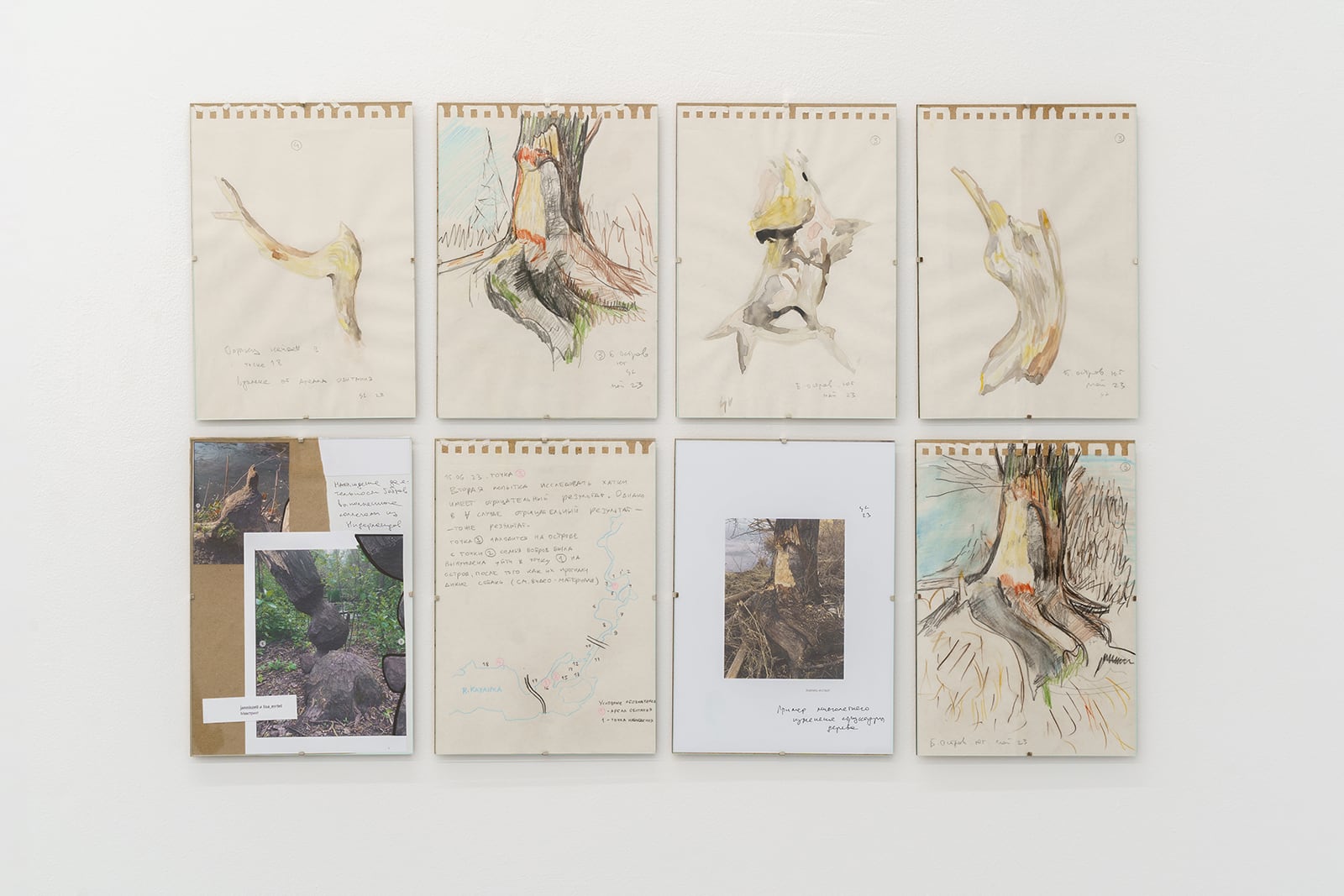 article image; primary-color: #D4D1CA;