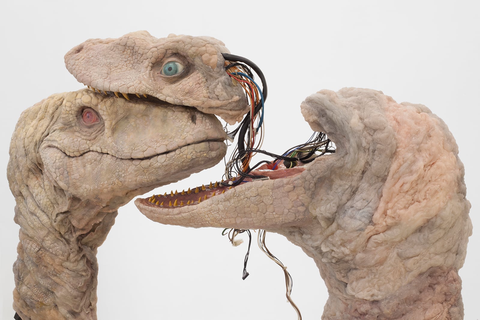 article image; primary-color: #C4B4A7;