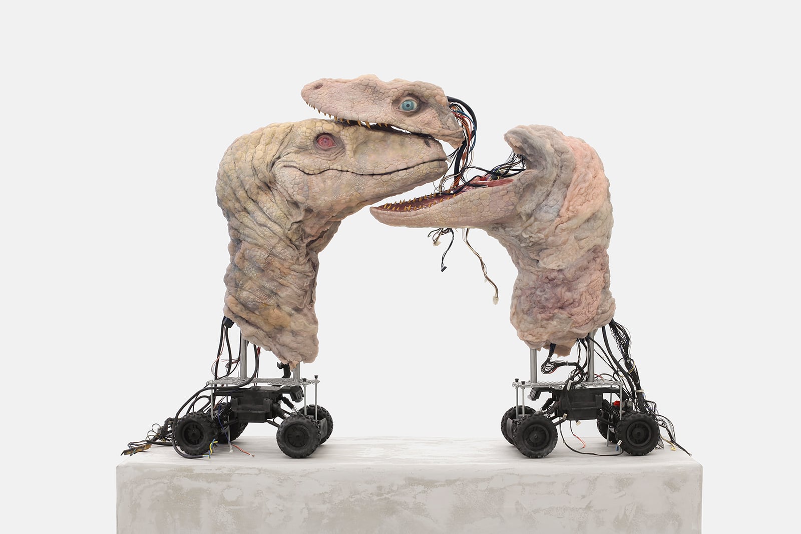 article image; primary-color: #D7D3D0;