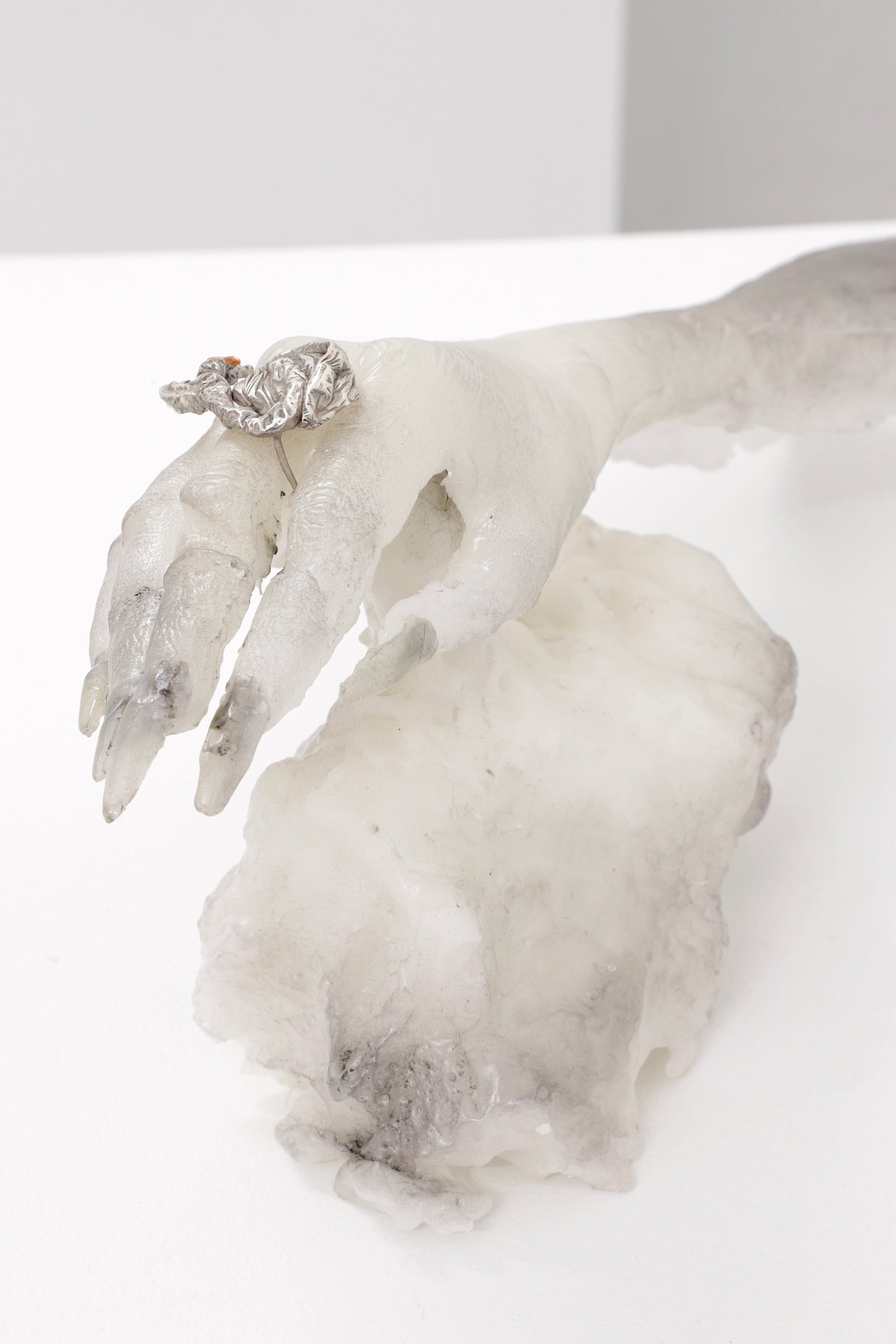 article image; primary-color: #DEDAD7;