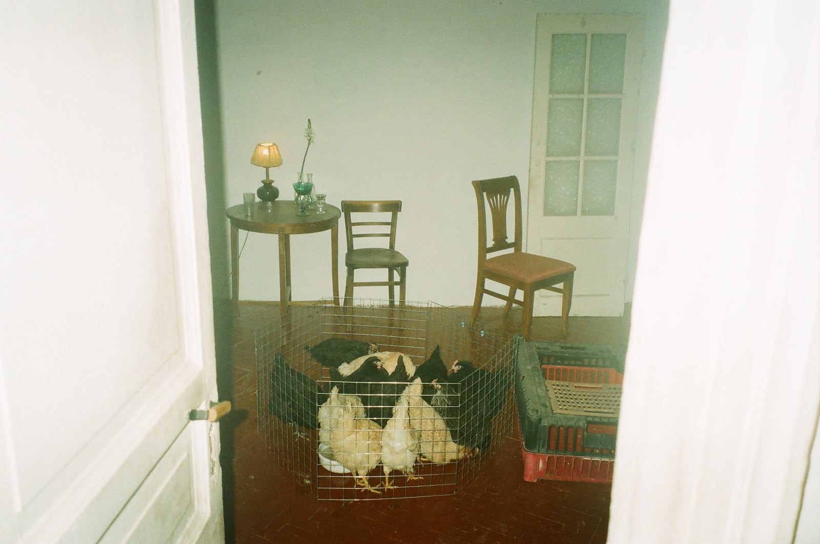 article image; primary-color: #BAB9A5;