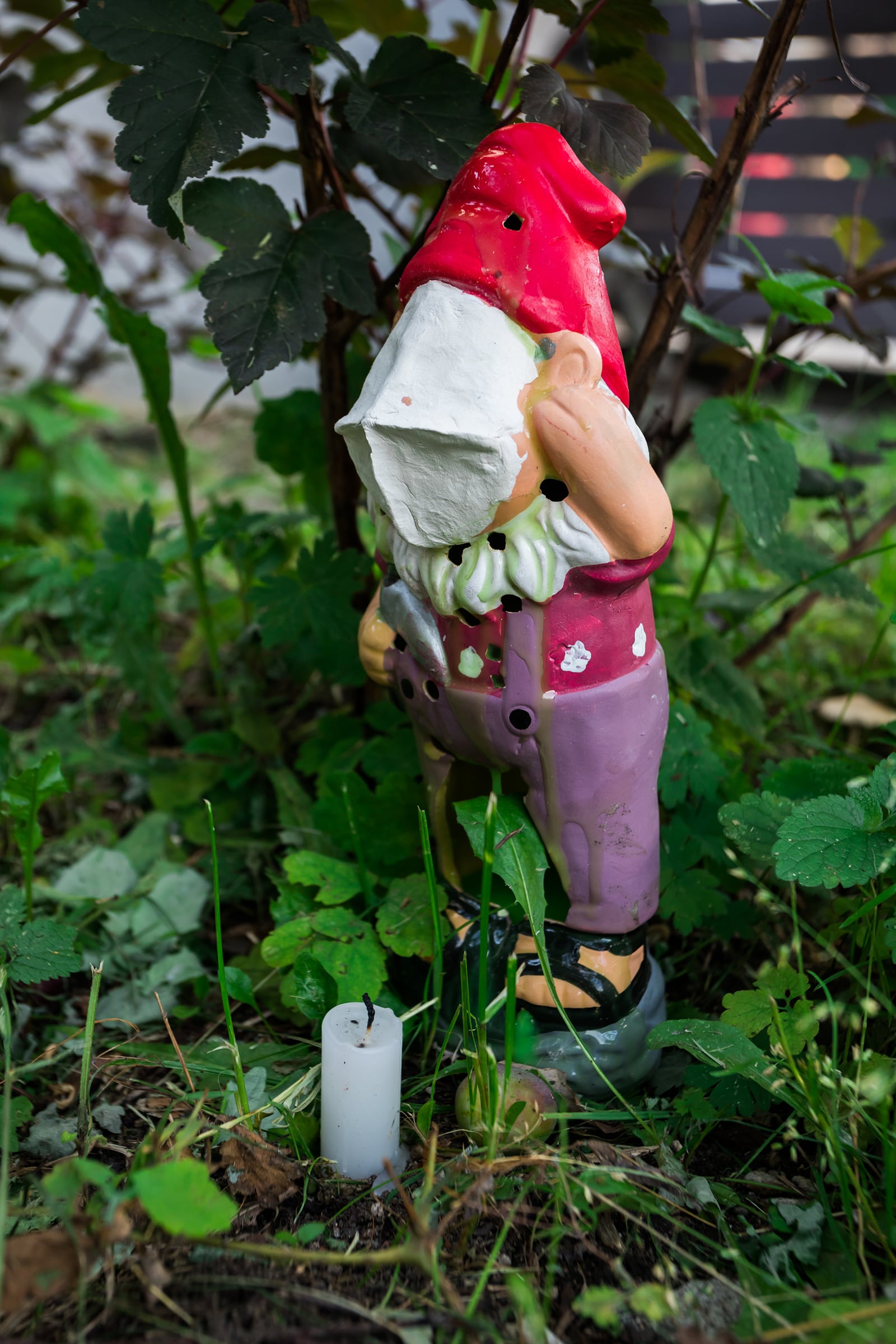 article image; primary-color: #434B34;