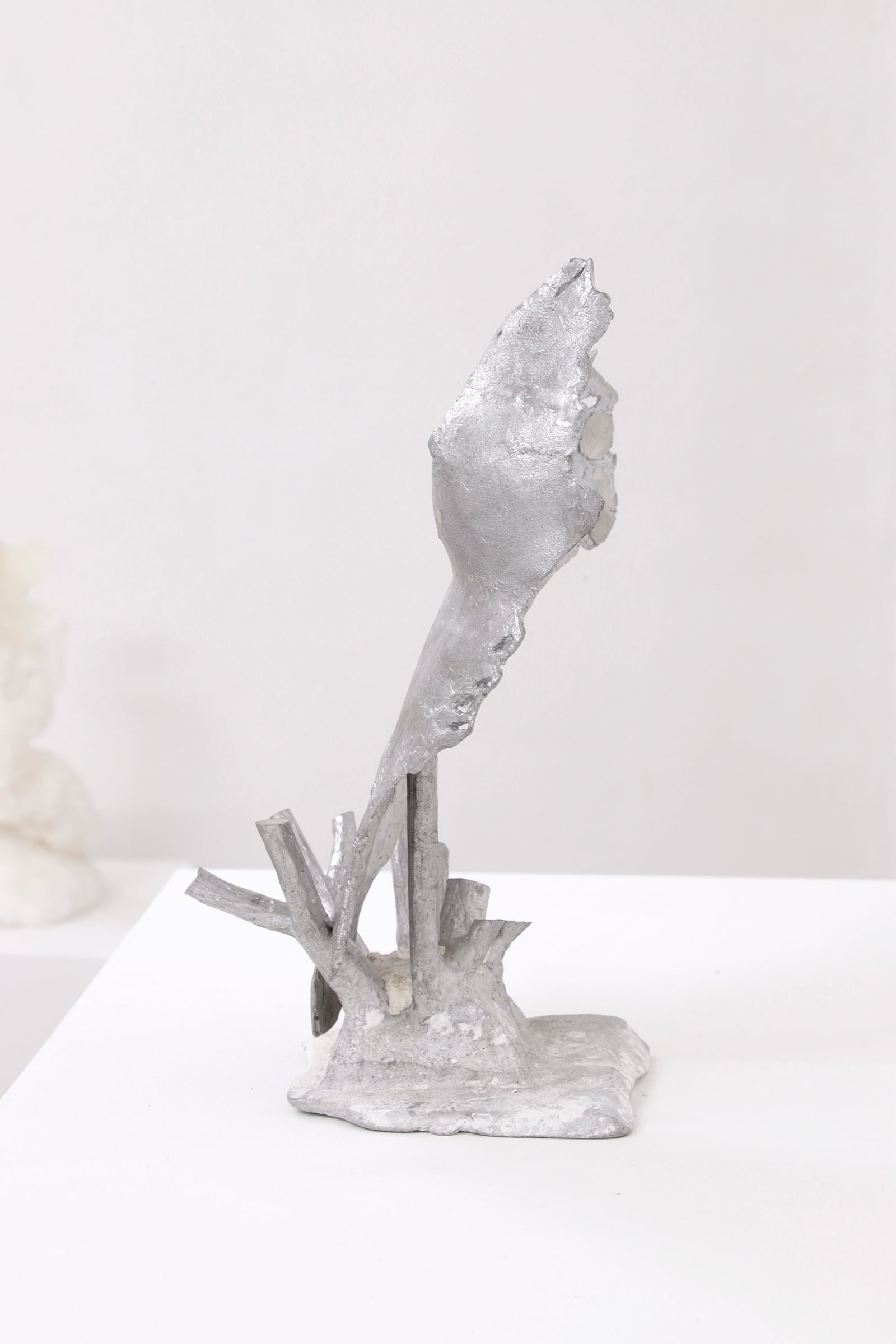 article image; primary-color: #E6E2E3;