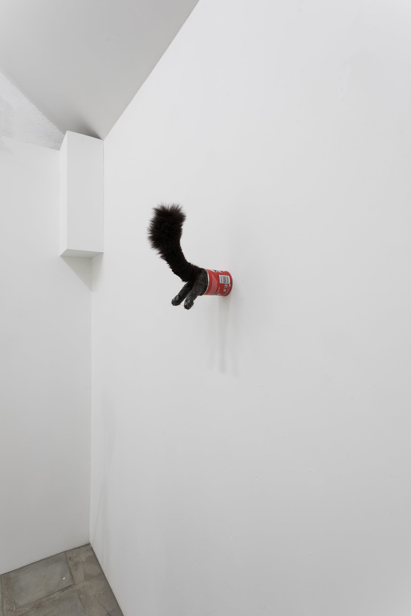 article image; primary-color: #C8C8C8;