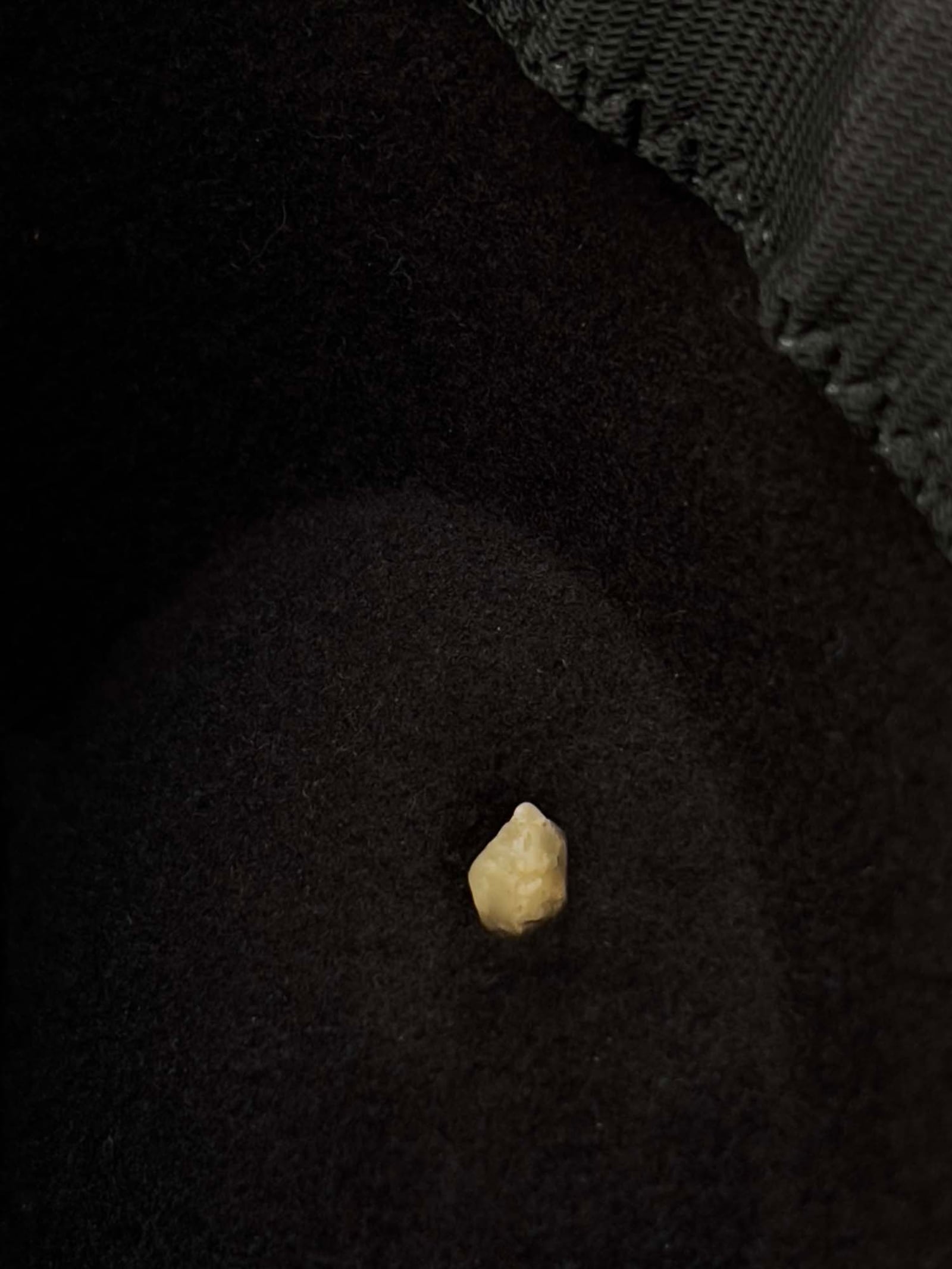 article image; primary-color: #110D0A;