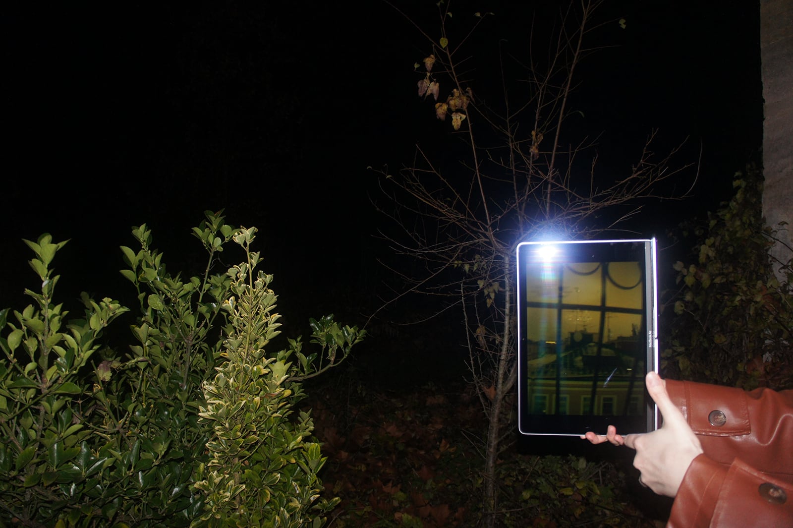 article image; primary-color: #1E1B14;