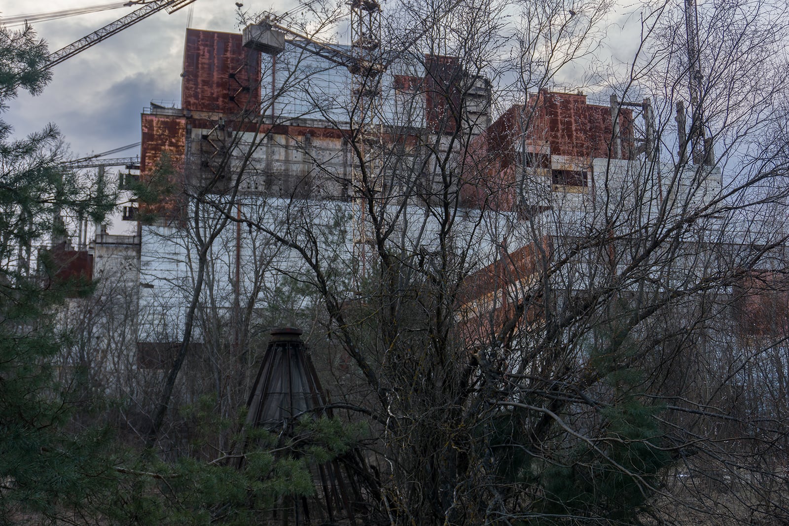 article image; primary-color: #4C5053;