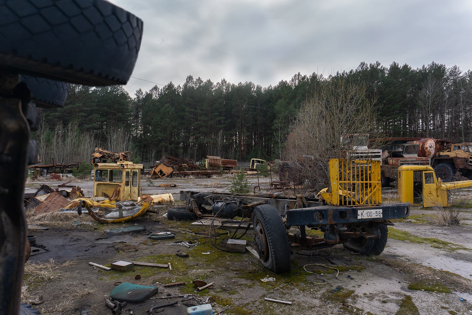 article image; primary-color: #5A5653;