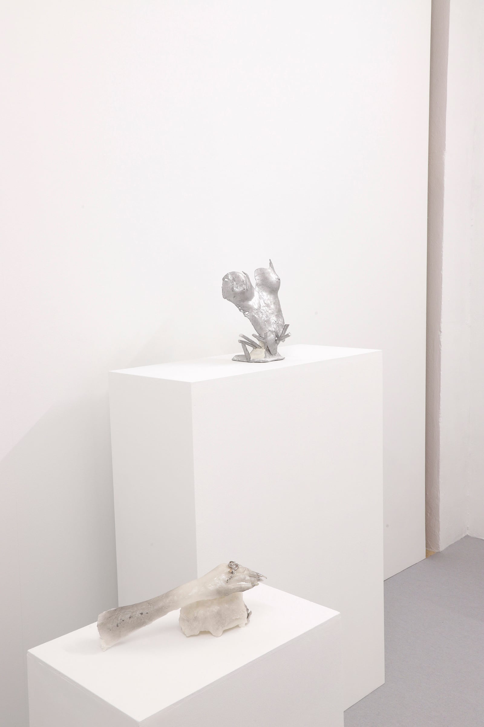 article image; primary-color: #E8E0DE;