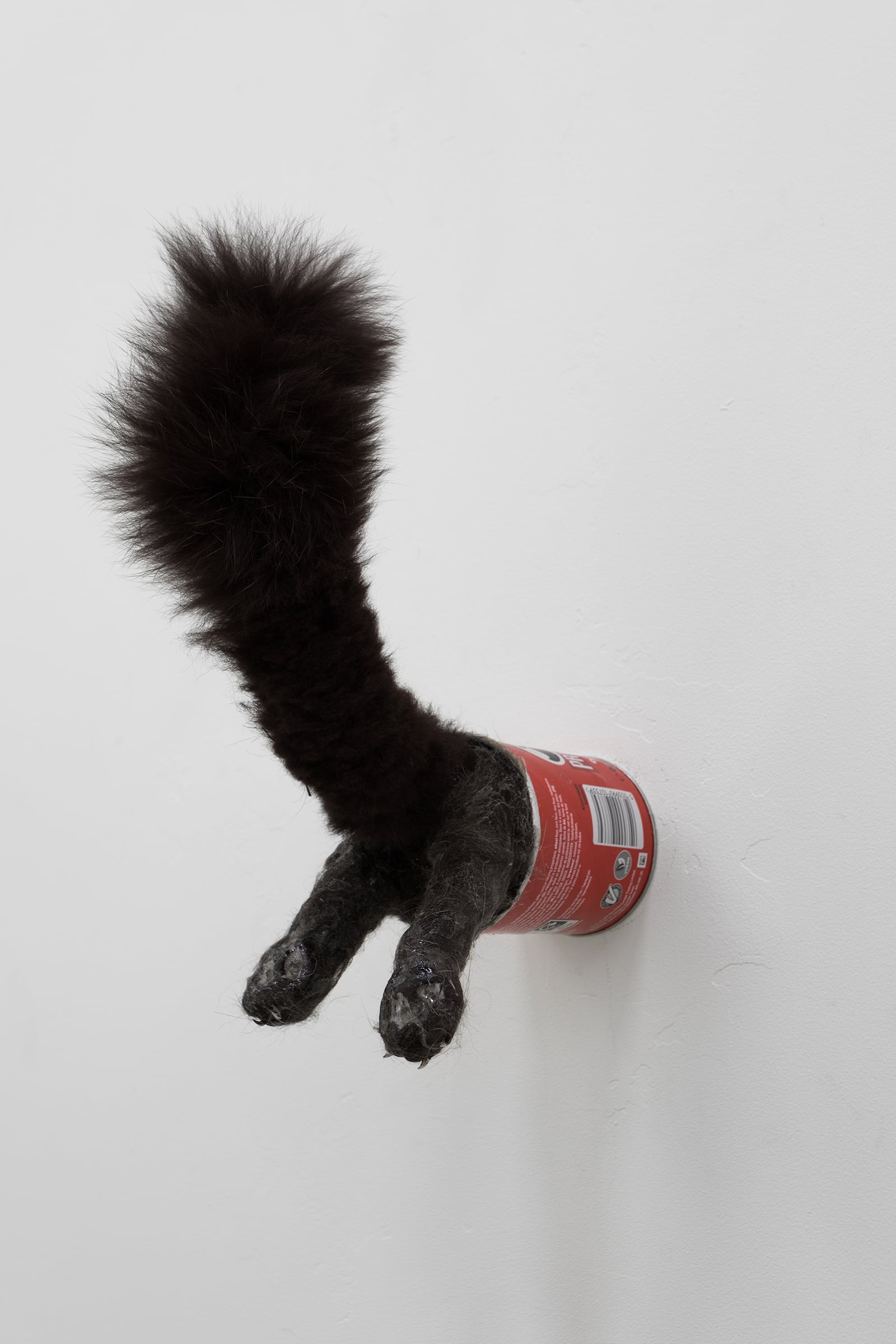 article image; primary-color: #BAB6B7;