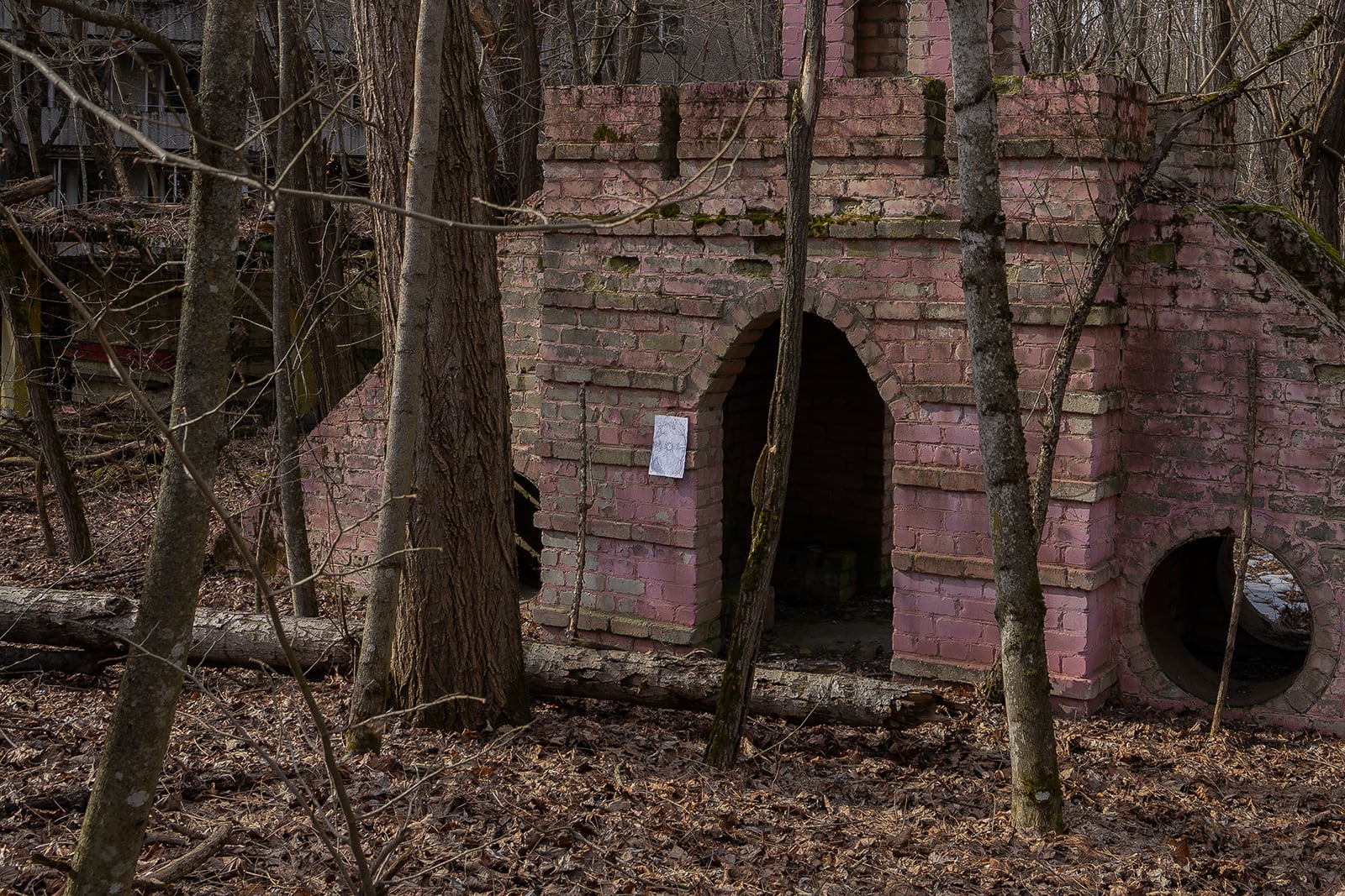 article image; primary-color: #493733;