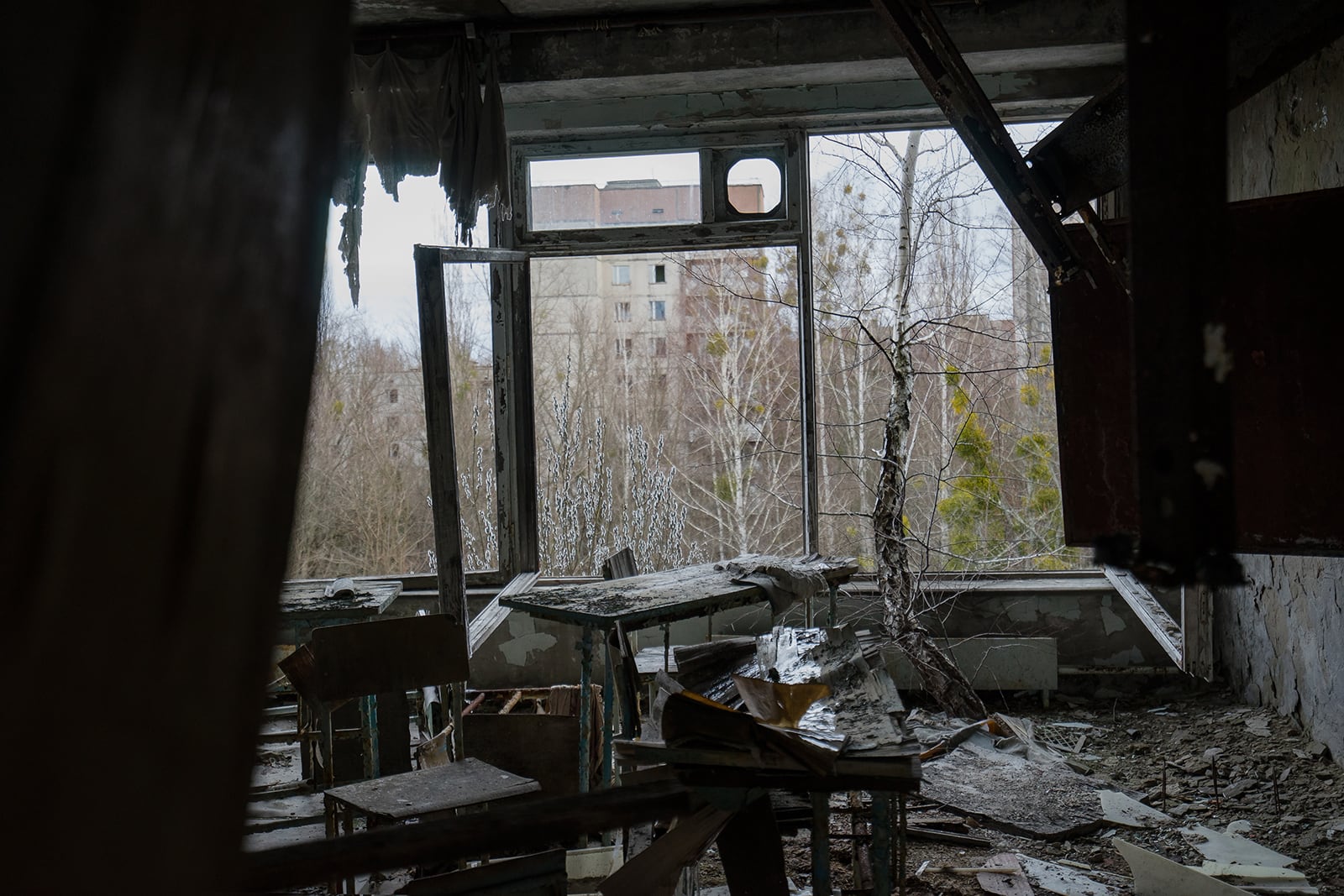 article image; primary-color: #3A3633;