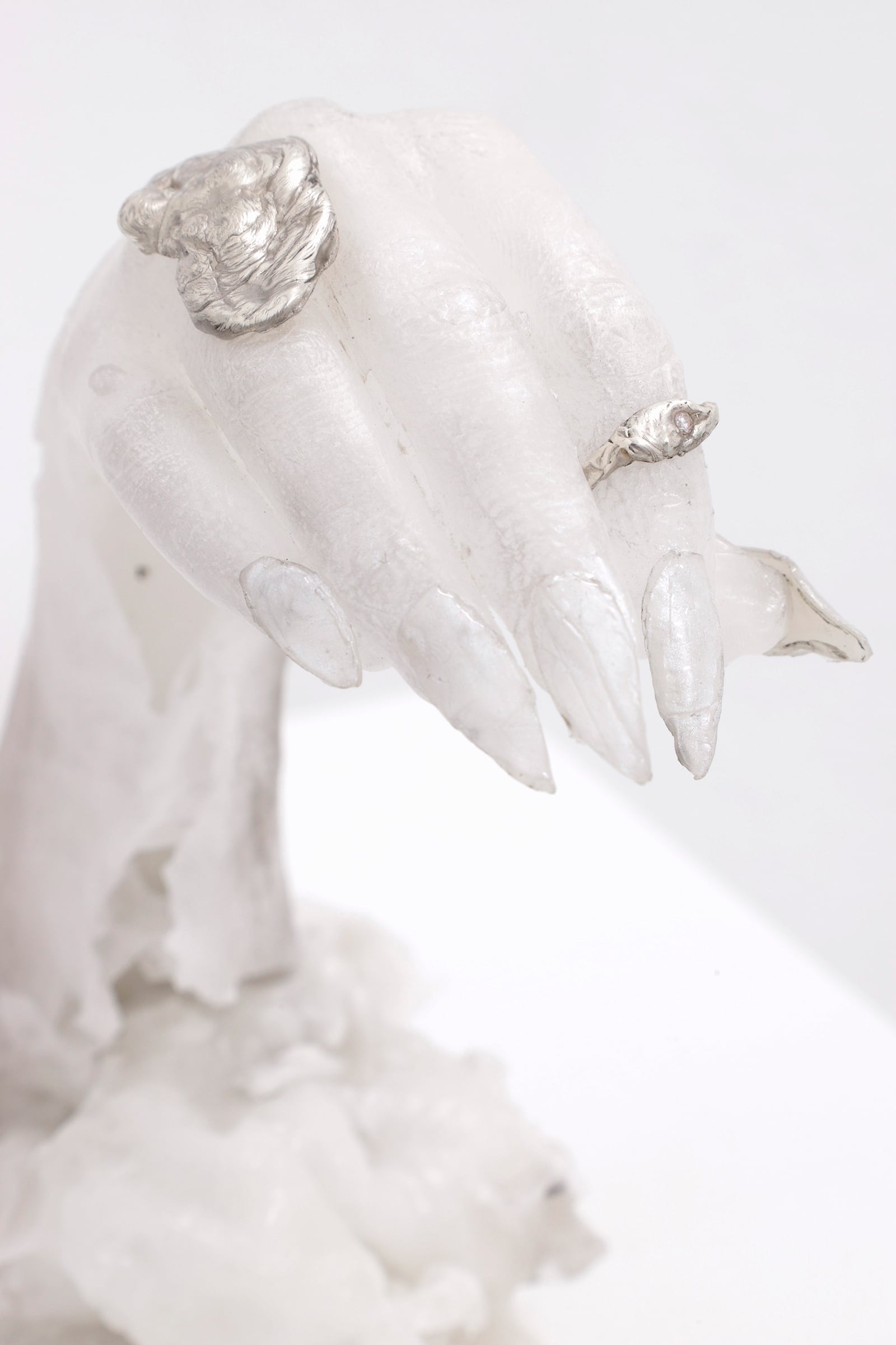 article image; primary-color: #E6E2E3;