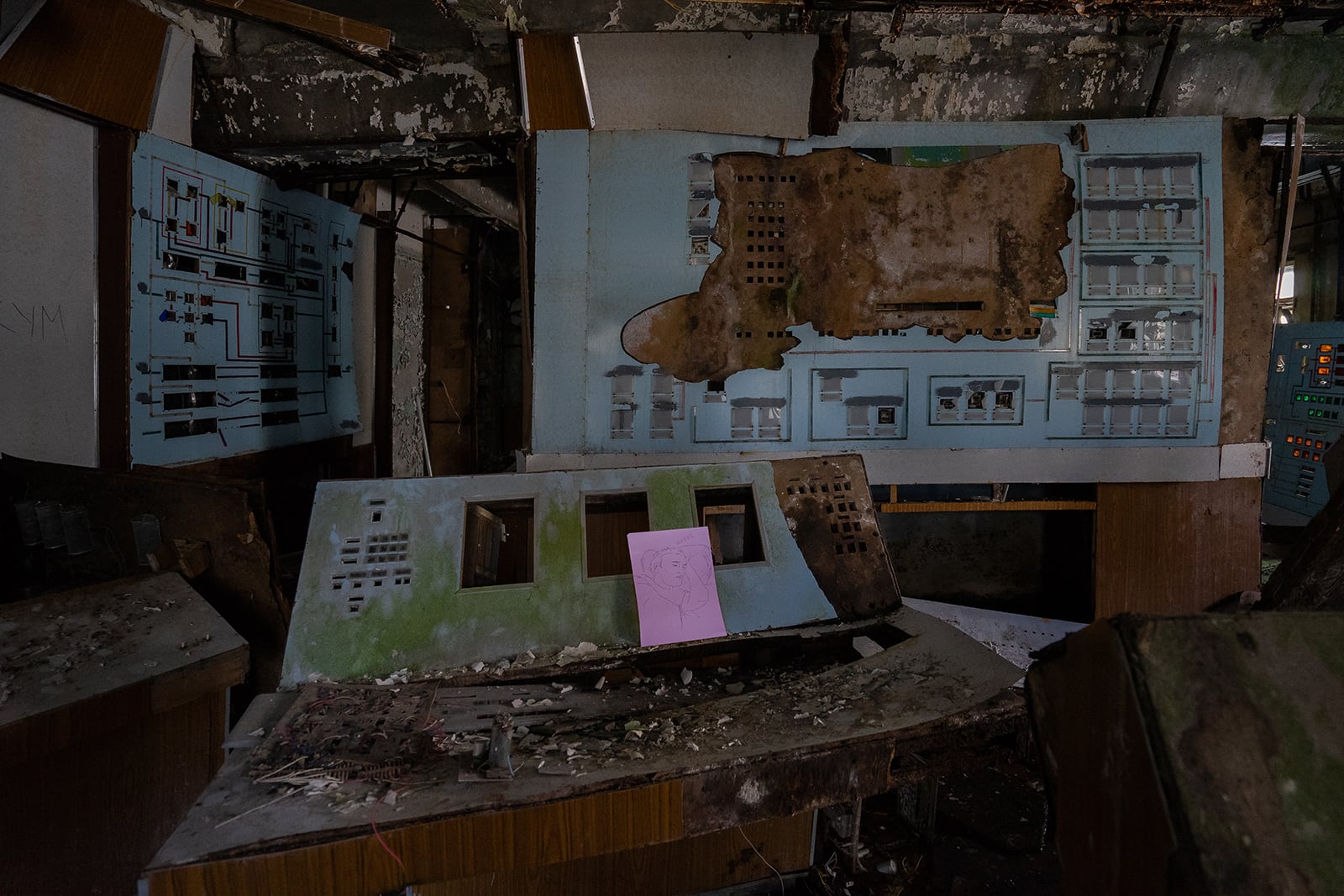 article image; primary-color: #322A28;