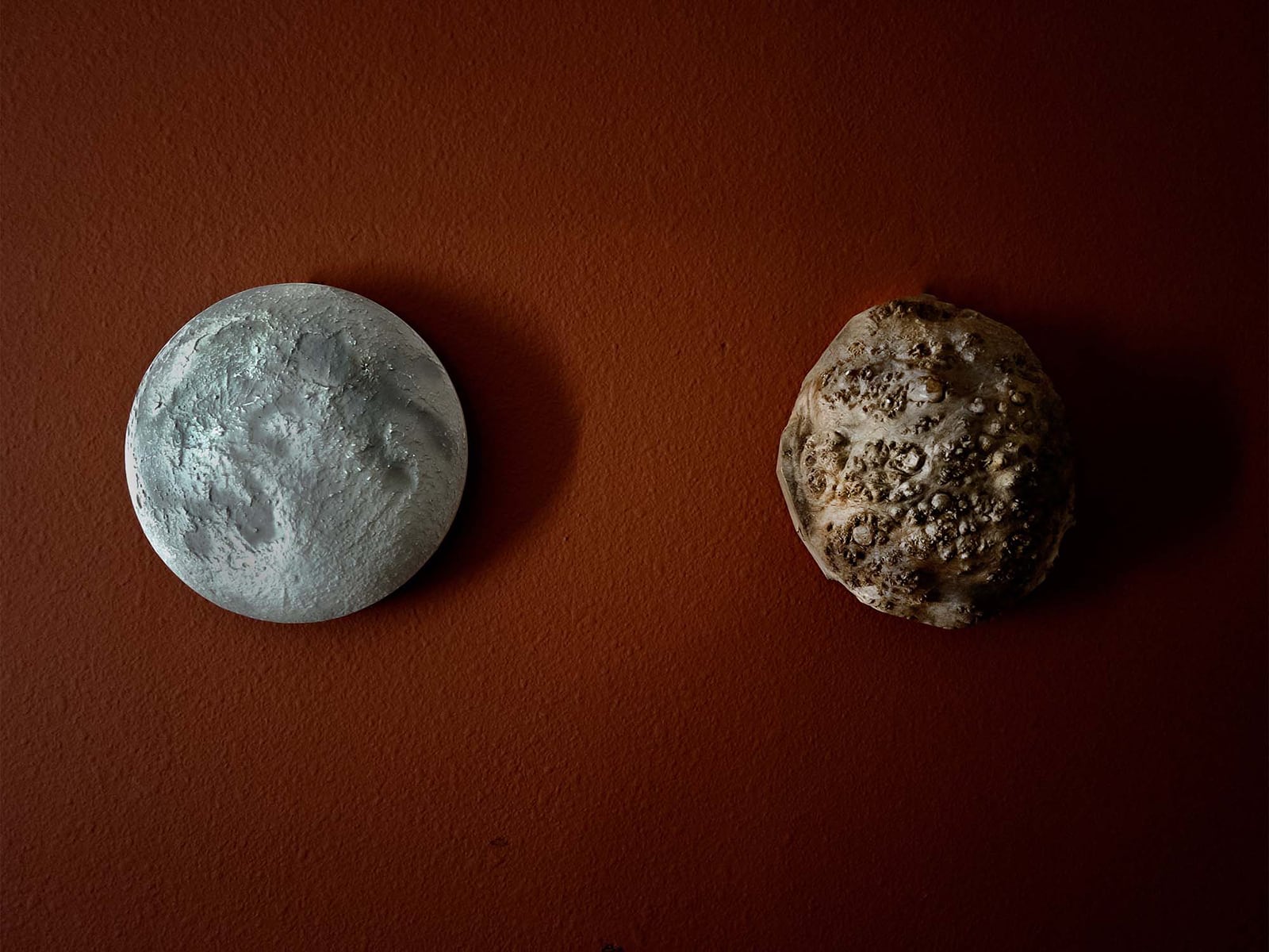 article image; primary-color: #451D13;