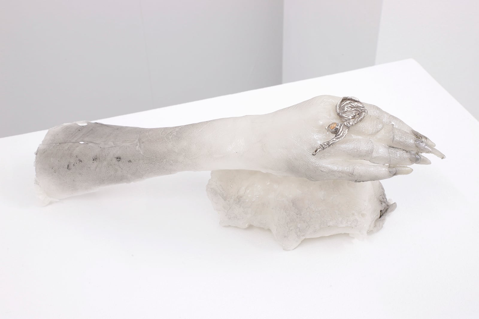 article image; primary-color: #E1DDDE;