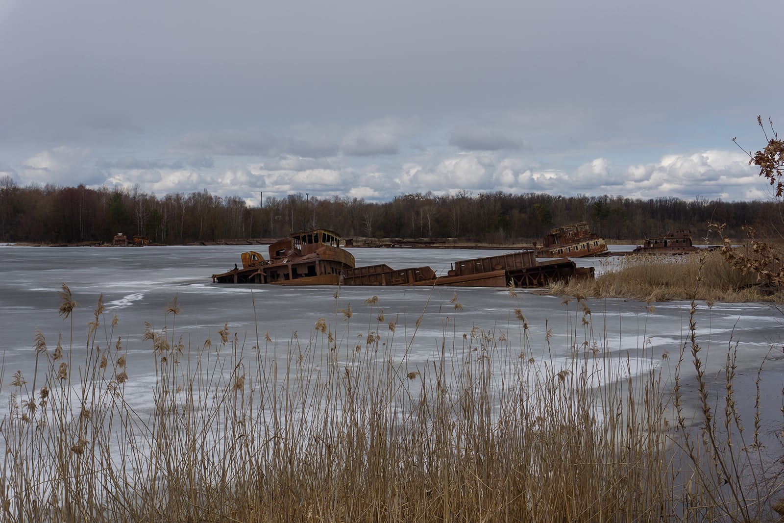 article image; primary-color: #79747A;