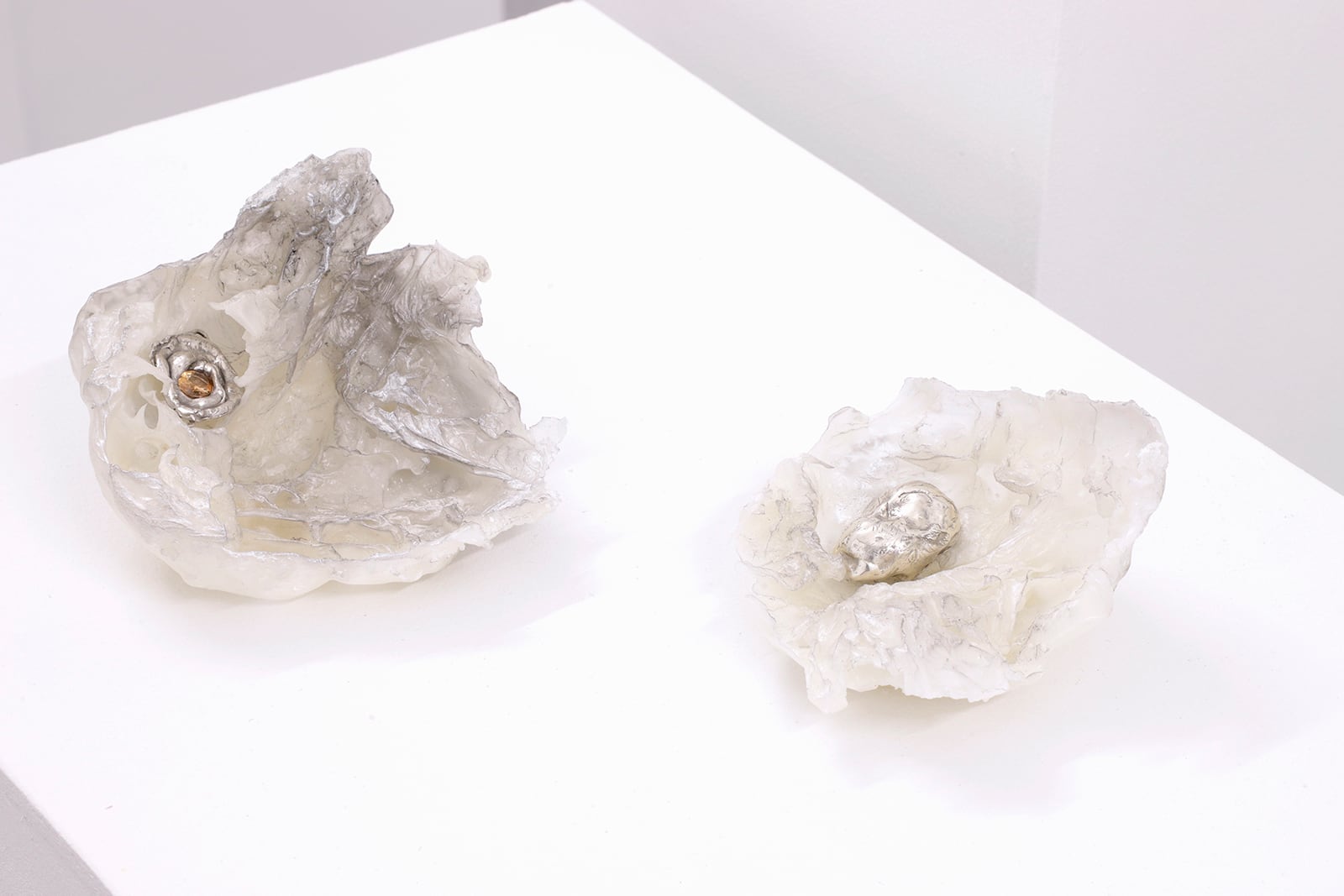 article image; primary-color: #EDE9EA;