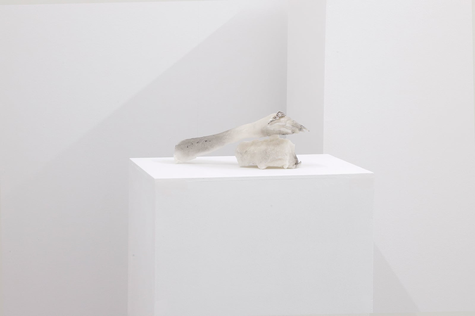 article image; primary-color: #DBD6DC;