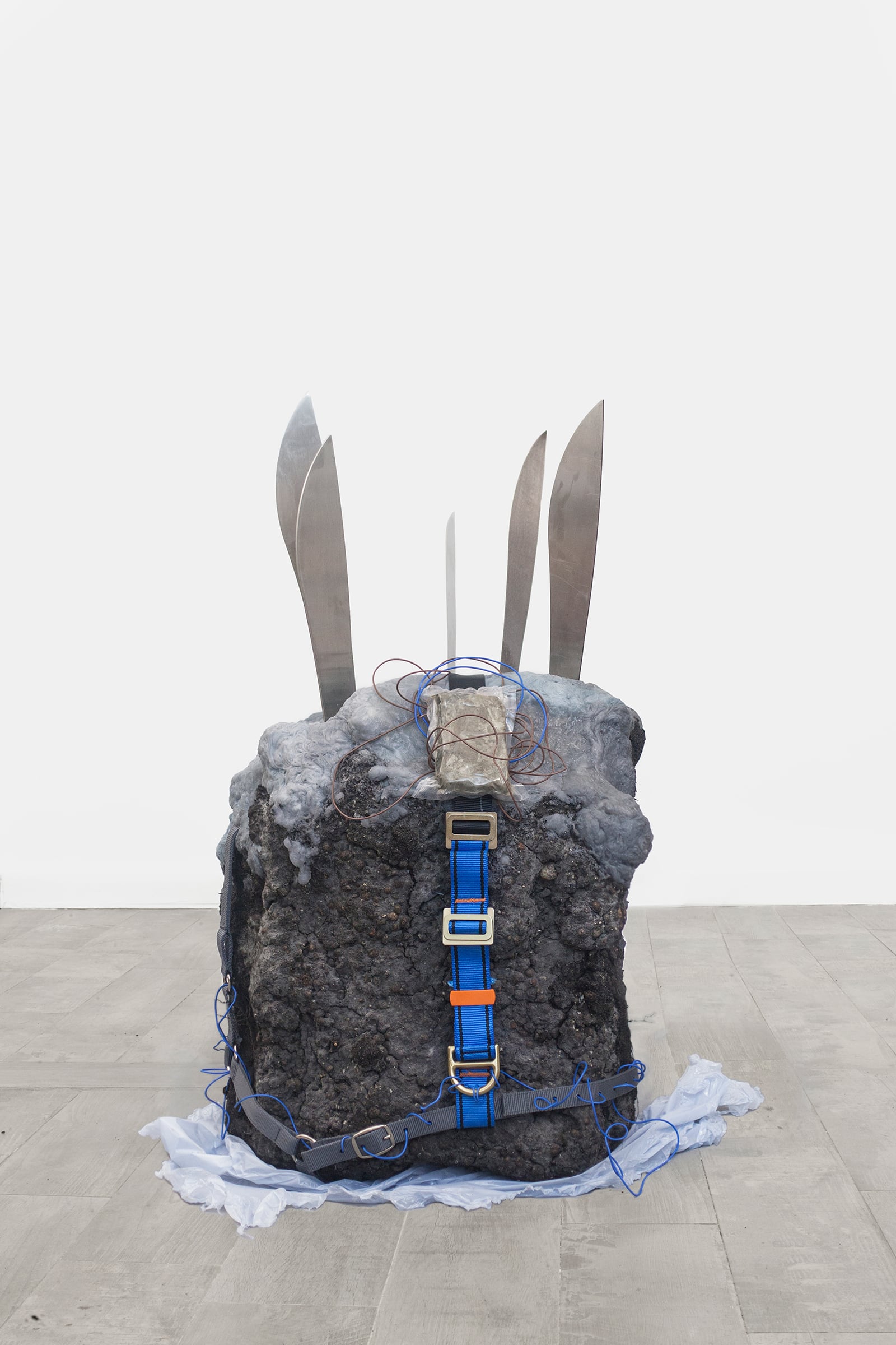 article image; primary-color: #C6C6C6;