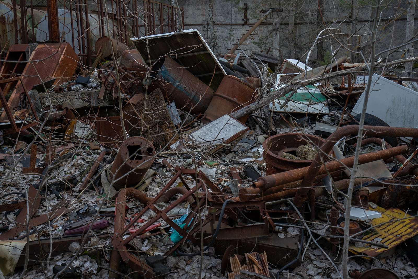 article image; primary-color: #383431;