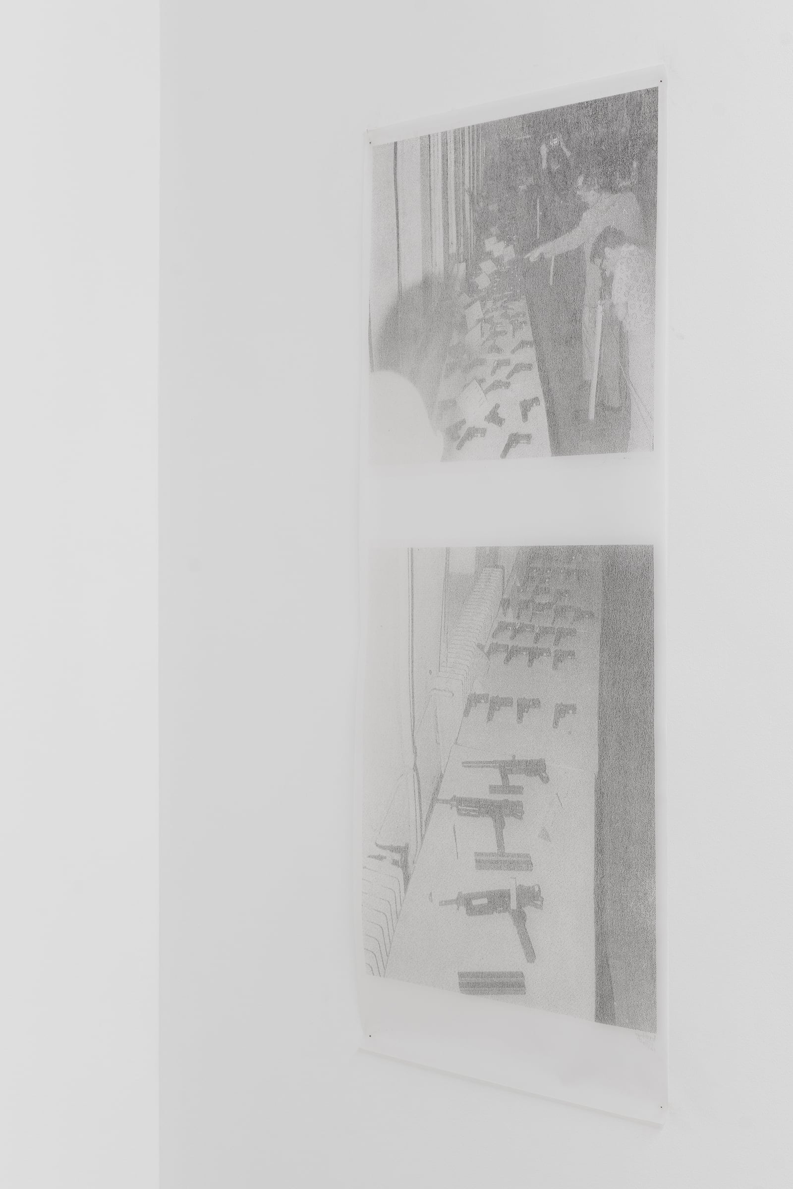 article image; primary-color: #CCCDC8;