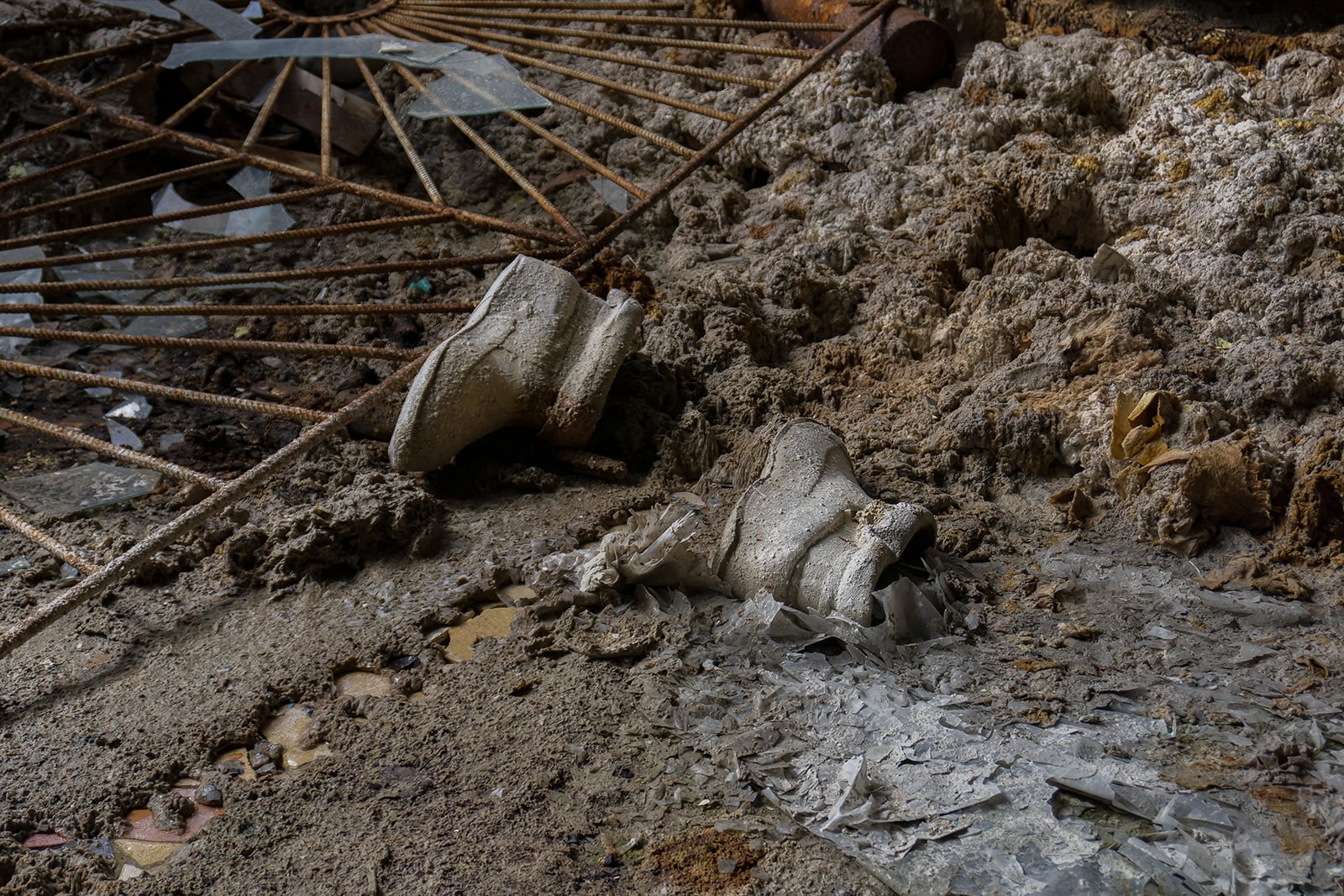 article image; primary-color: #514841;