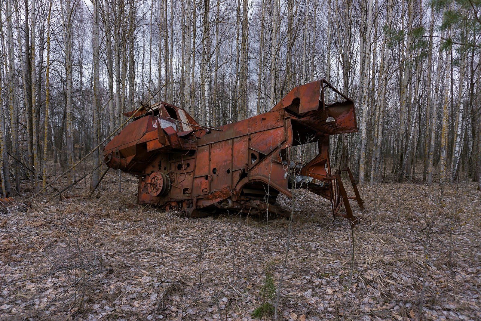 article image; primary-color: #635958;