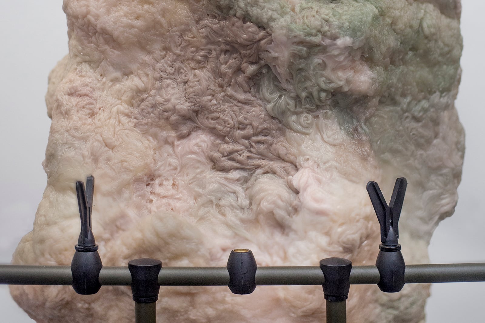 article image; primary-color: #998C86;