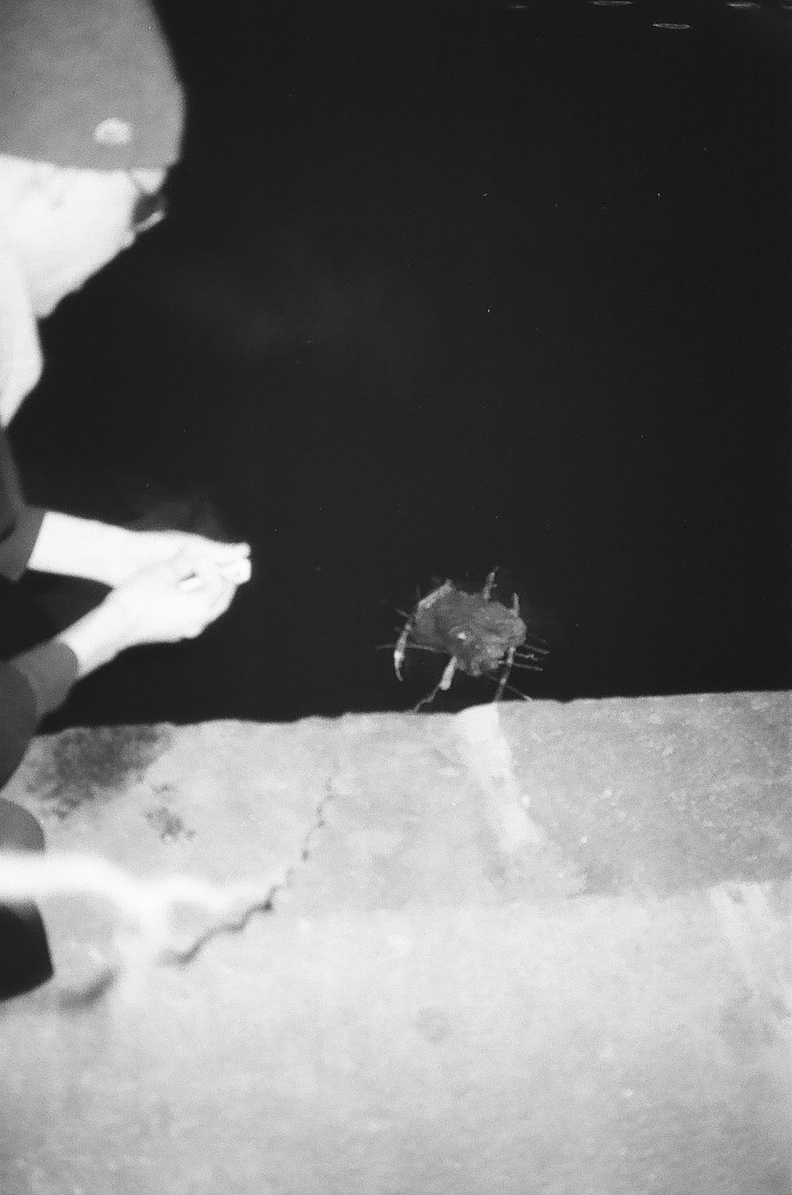 article image; primary-color: #717171;