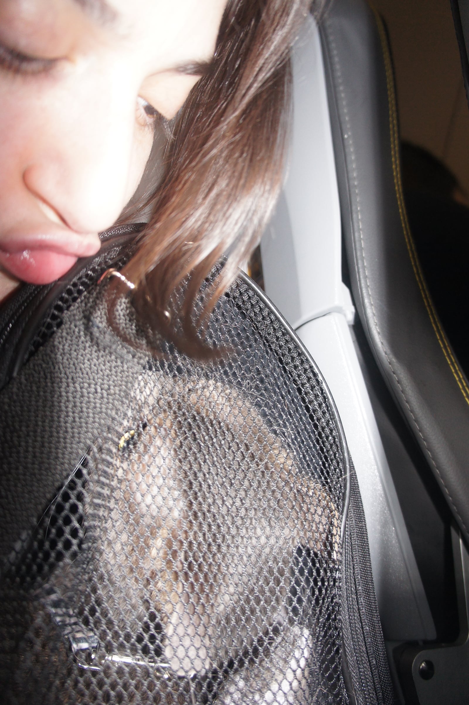 article image; primary-color: #817776;