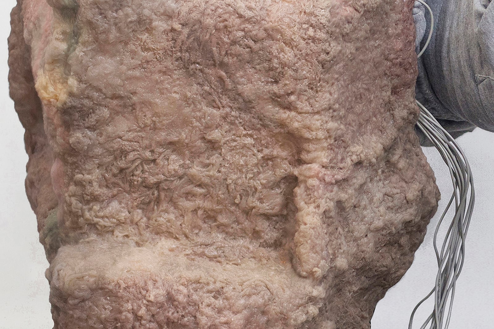 article image; primary-color: #98867A;