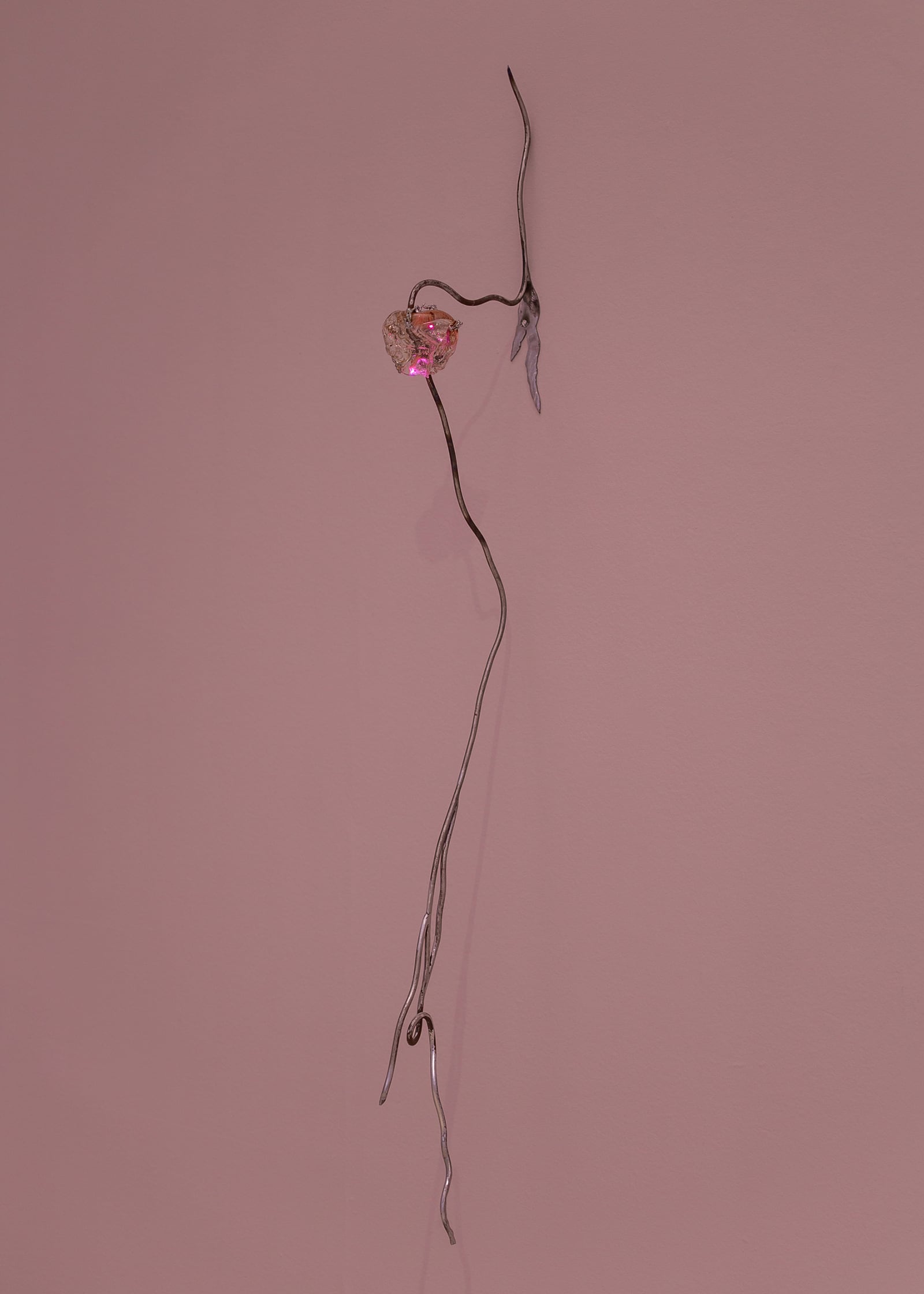 article image; primary-color: #9E777A;