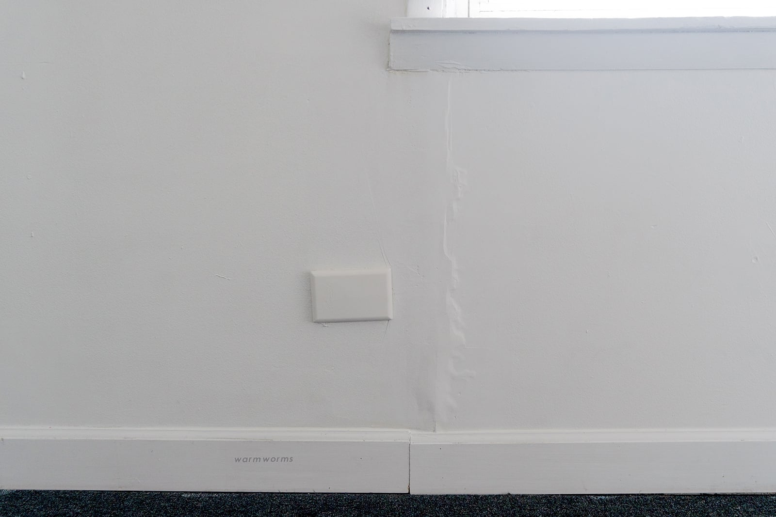 article image; primary-color: #AEAEAE;